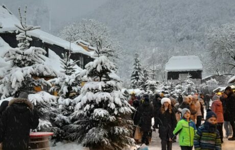 glanegger-weihnachtsmarkt-chrisbaum-adventspaziergang