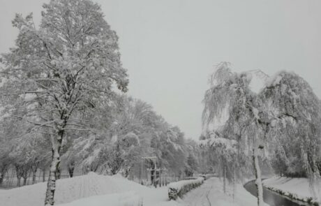 weihnachtsspaziergang-am-fluss-im-idyllischen-Salzburg