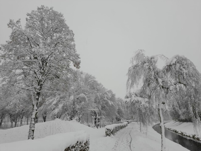 weihnachtsspaziergang-am-fluss-im-idyllischen-Salzburg